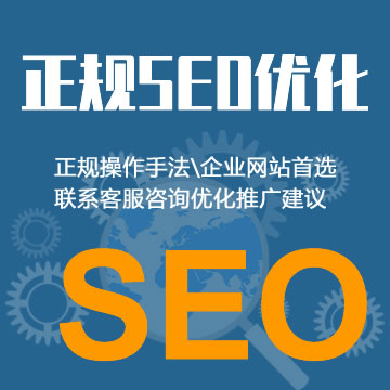 企业网站SEO优化服务（正规SEO优化，杜绝黑帽SEO）
